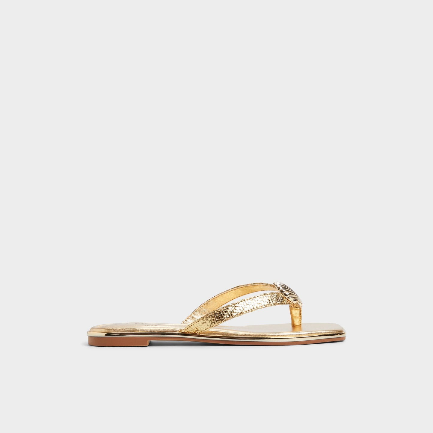 Conchiglia Gold Women's Flats - Flip flop Aldo Gold