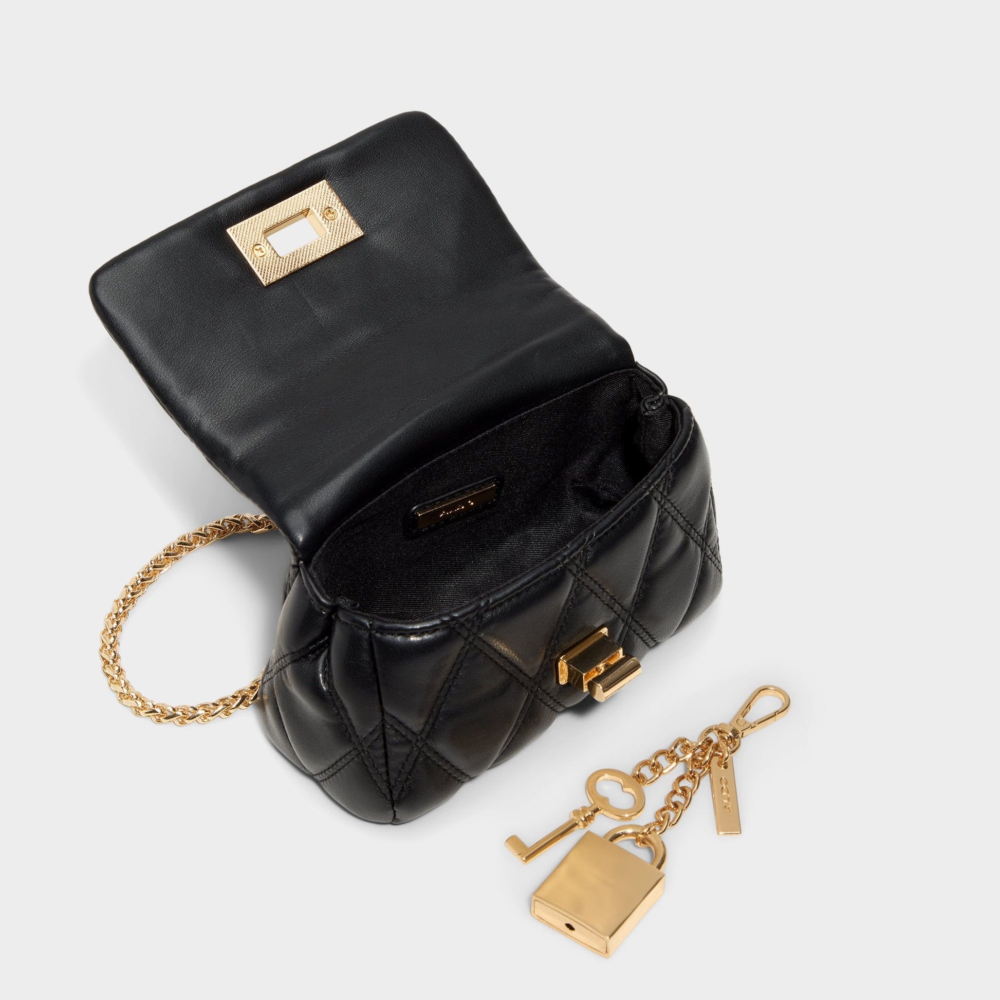 Miablackk in Black - Wallet Aldo Black