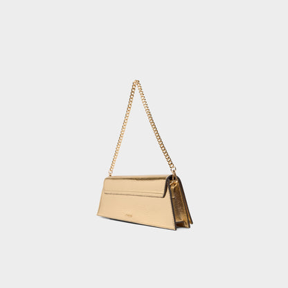 Mmychaelaa in Gold - Clutch Aldo Gold