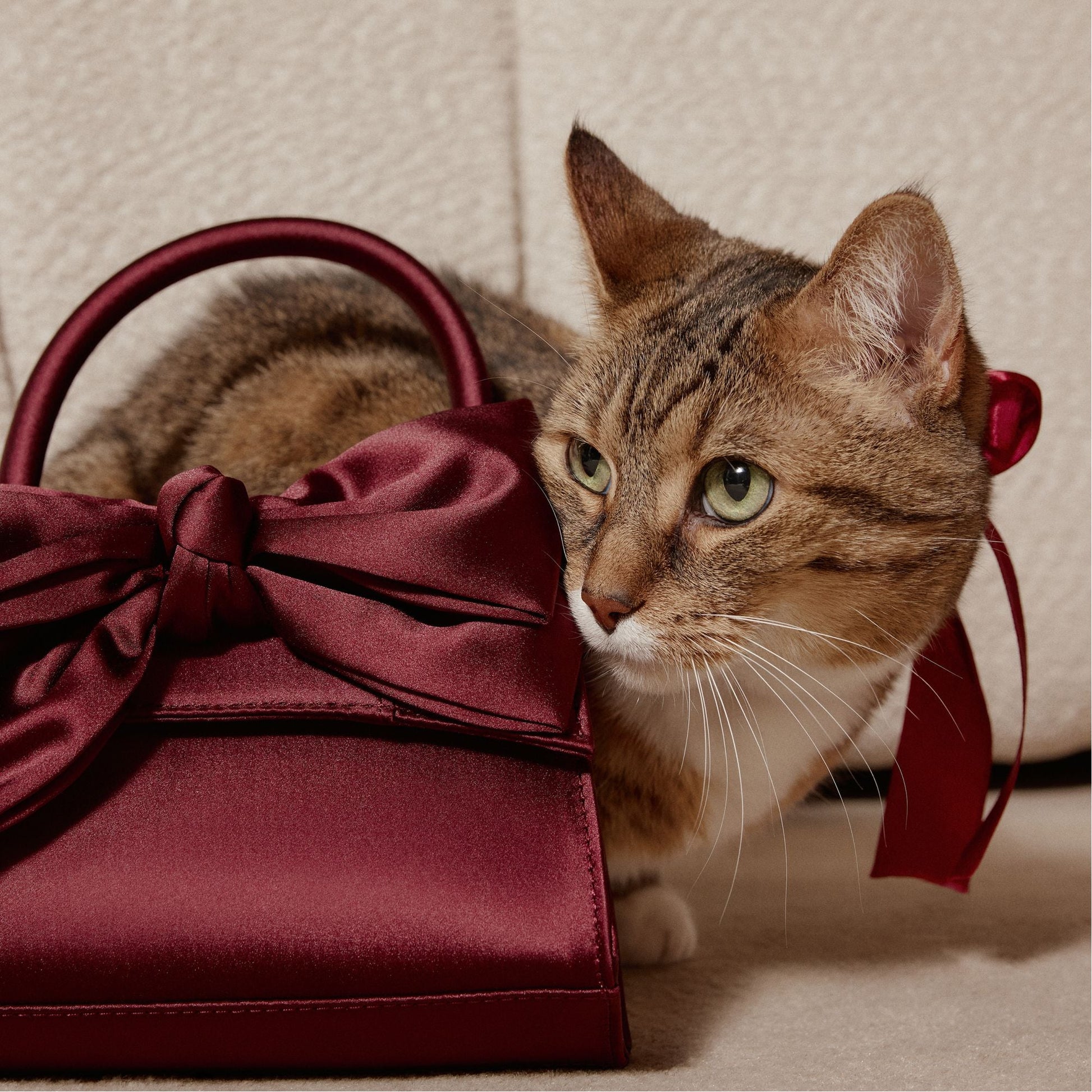 Decadencee in Dark Red - Top handle bag Aldo Dark Red