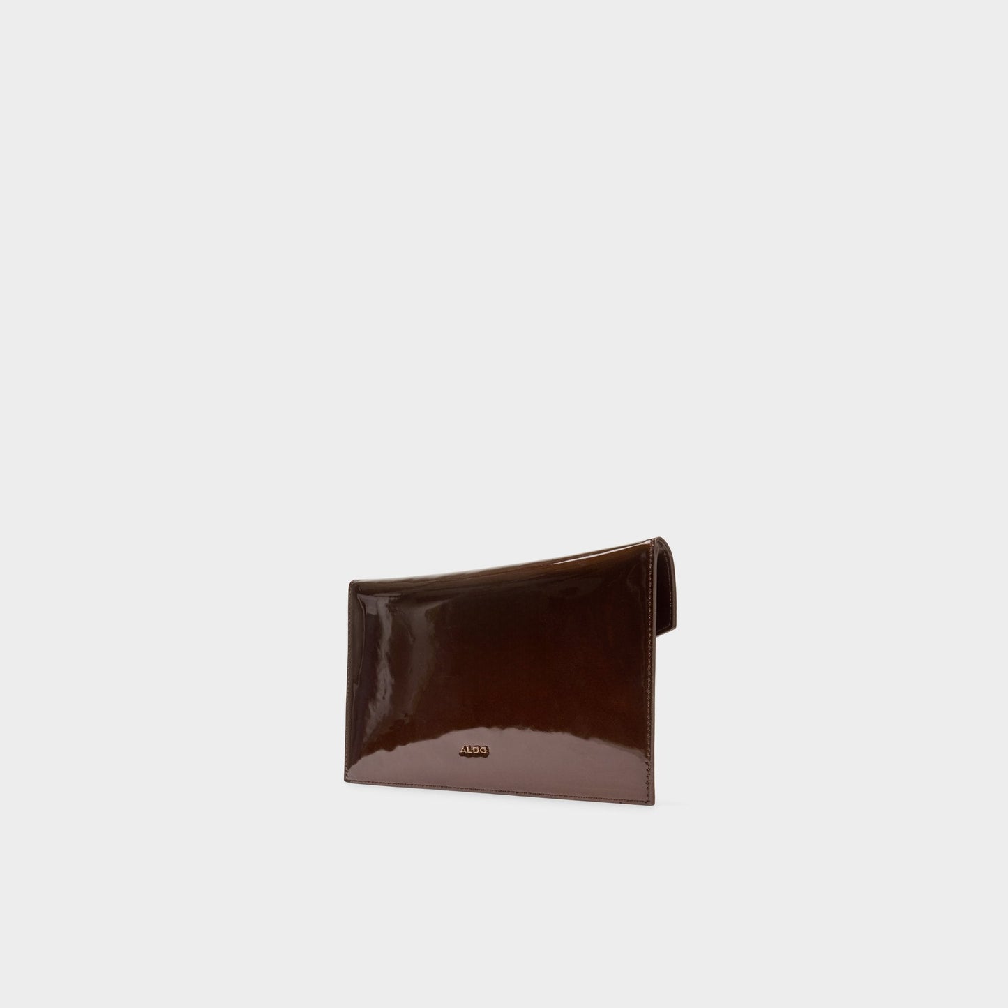 Larriblingg in Other Brown - Clutch Aldo Other Brown