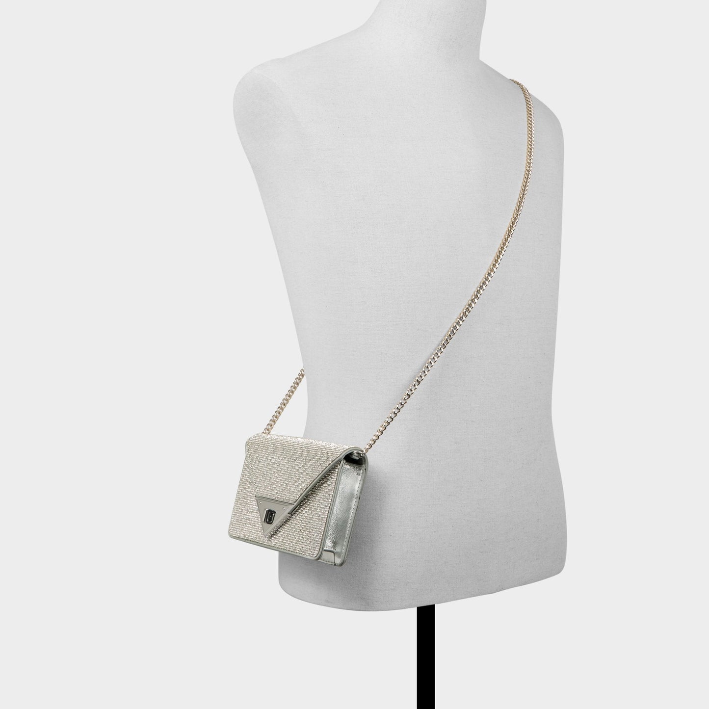 Brimortonblngg in Silver - Wallet Aldo Silver
