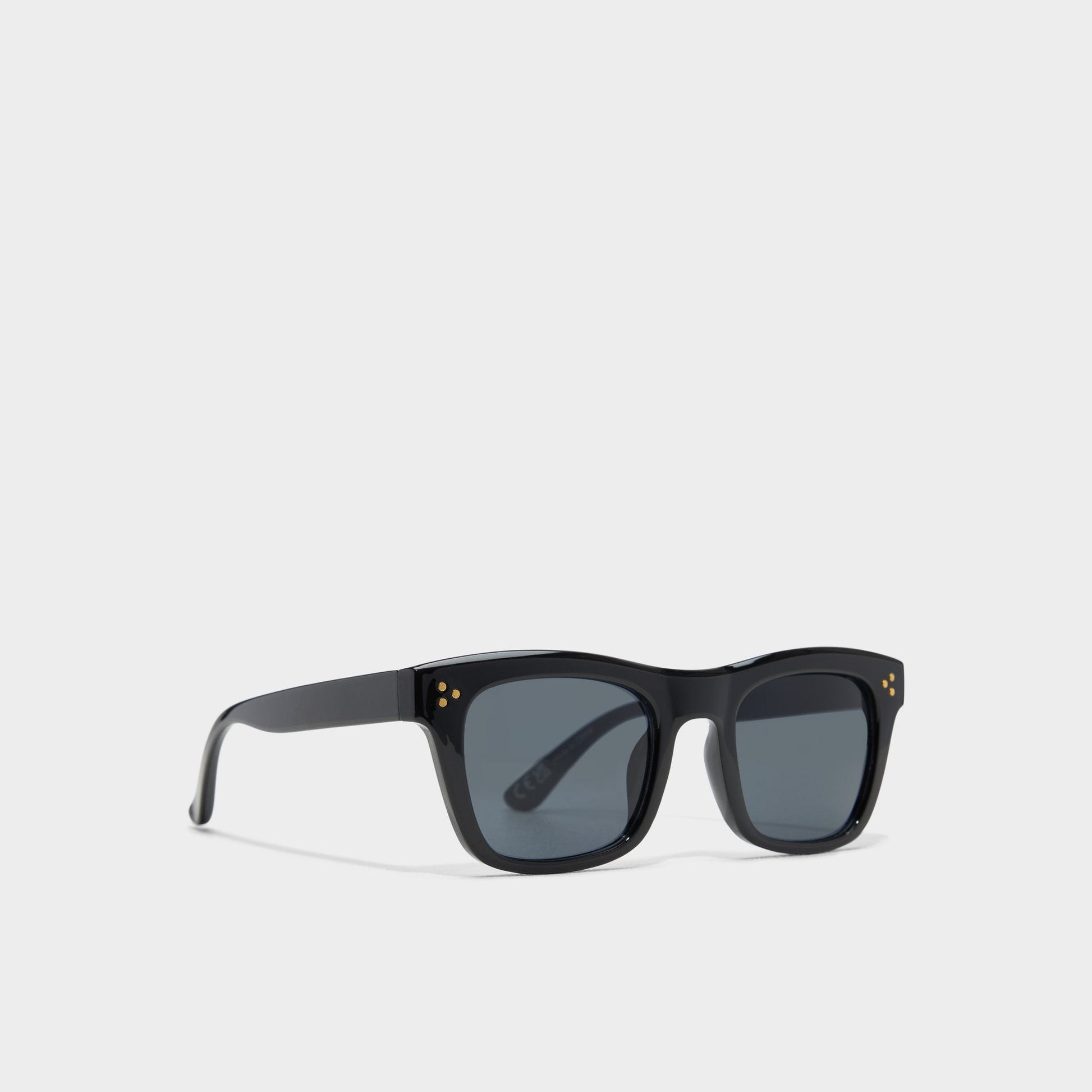 Aliralx Black Women's Sunglasses - Sunglasses Aldo Black