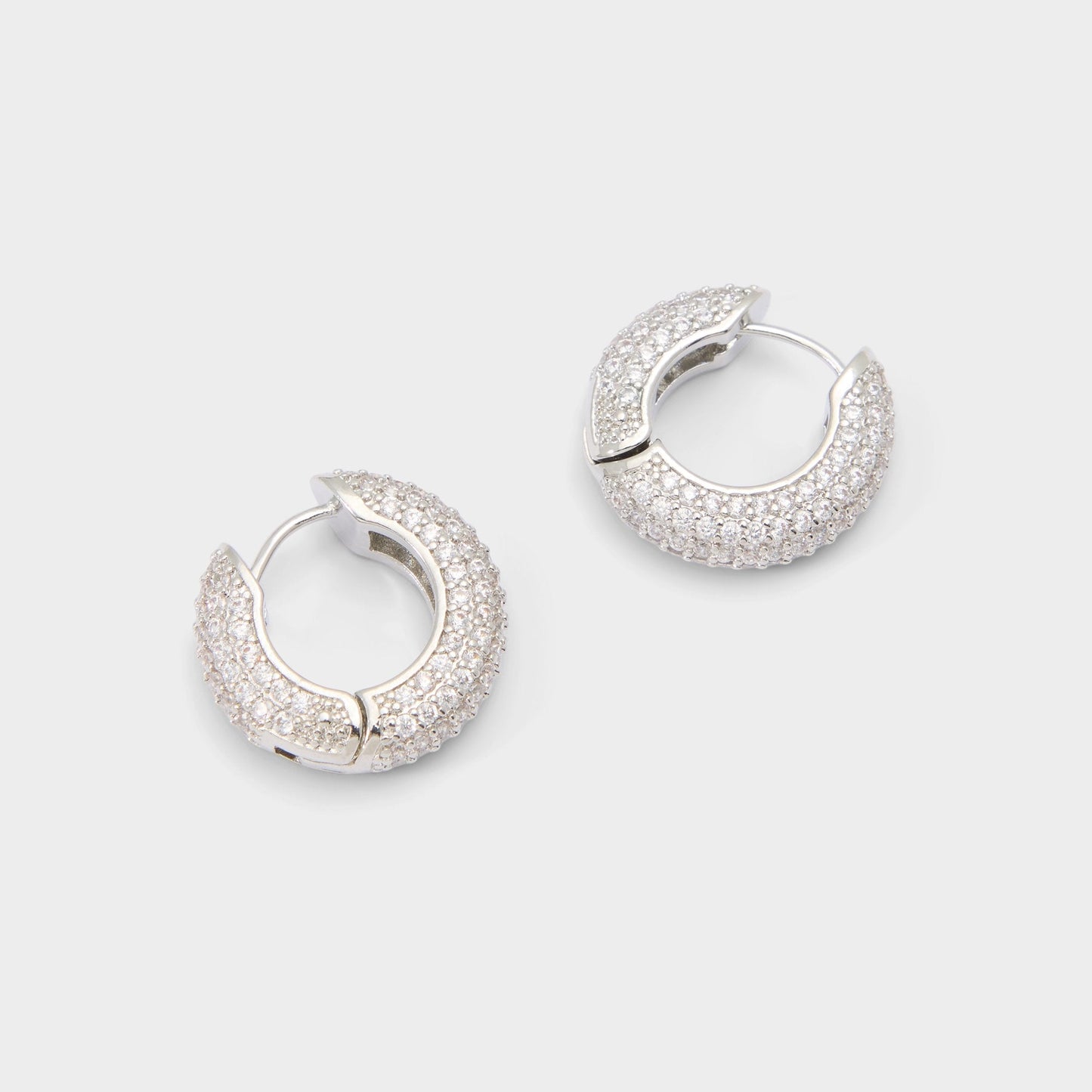 Strigidae in Silver Clear Multi - Hoop earrings Aldo Silver/clear multi