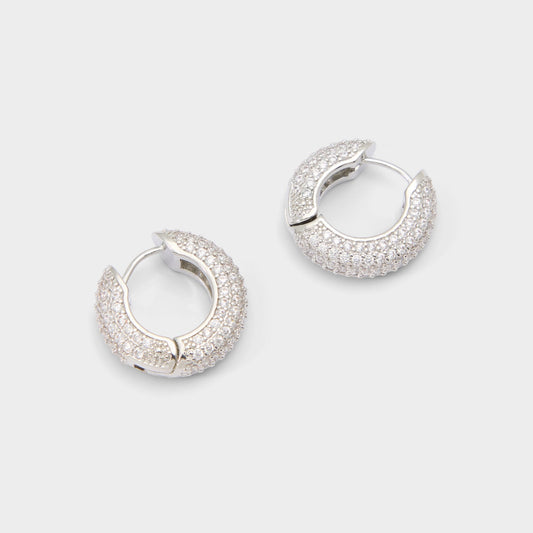 Strigidae in Silver Clear Multi - Hoop earrings Aldo Silver/clear multi