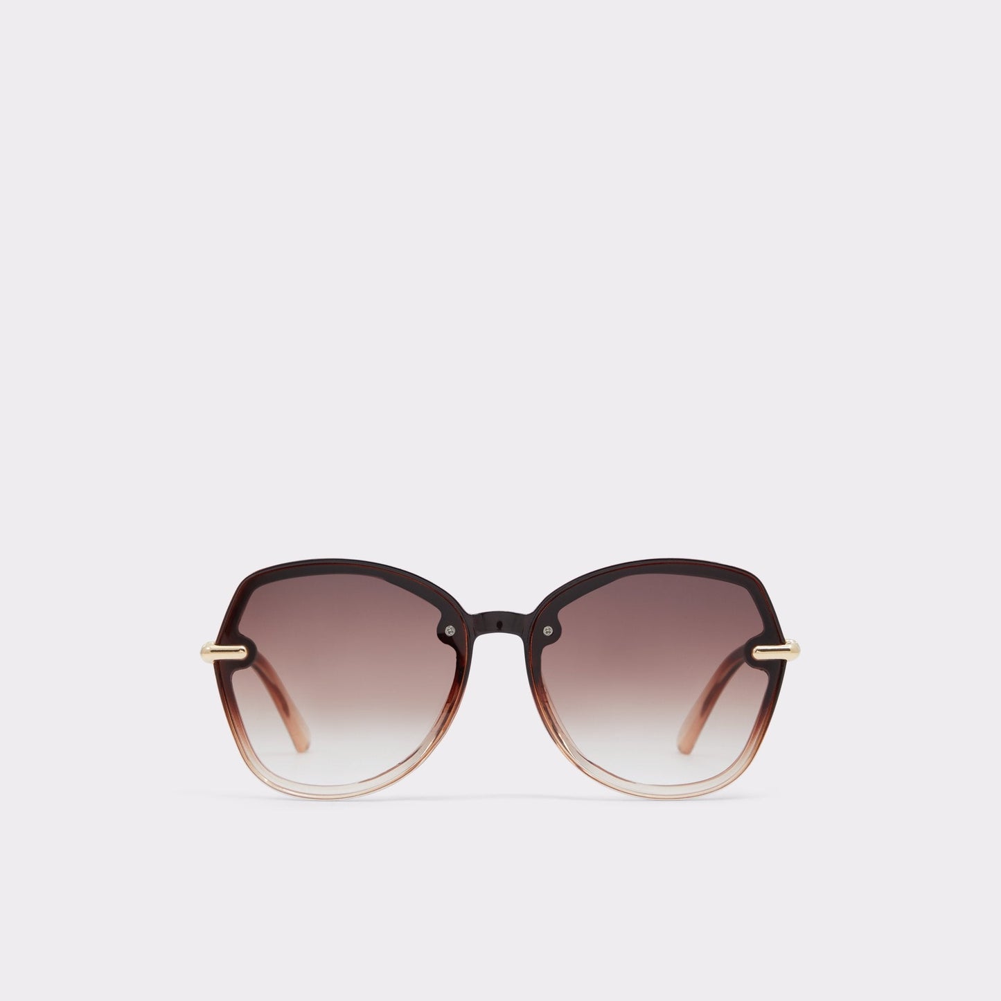 Cortegaca Brown Women's Round - Square sunglasses Aldo Brown