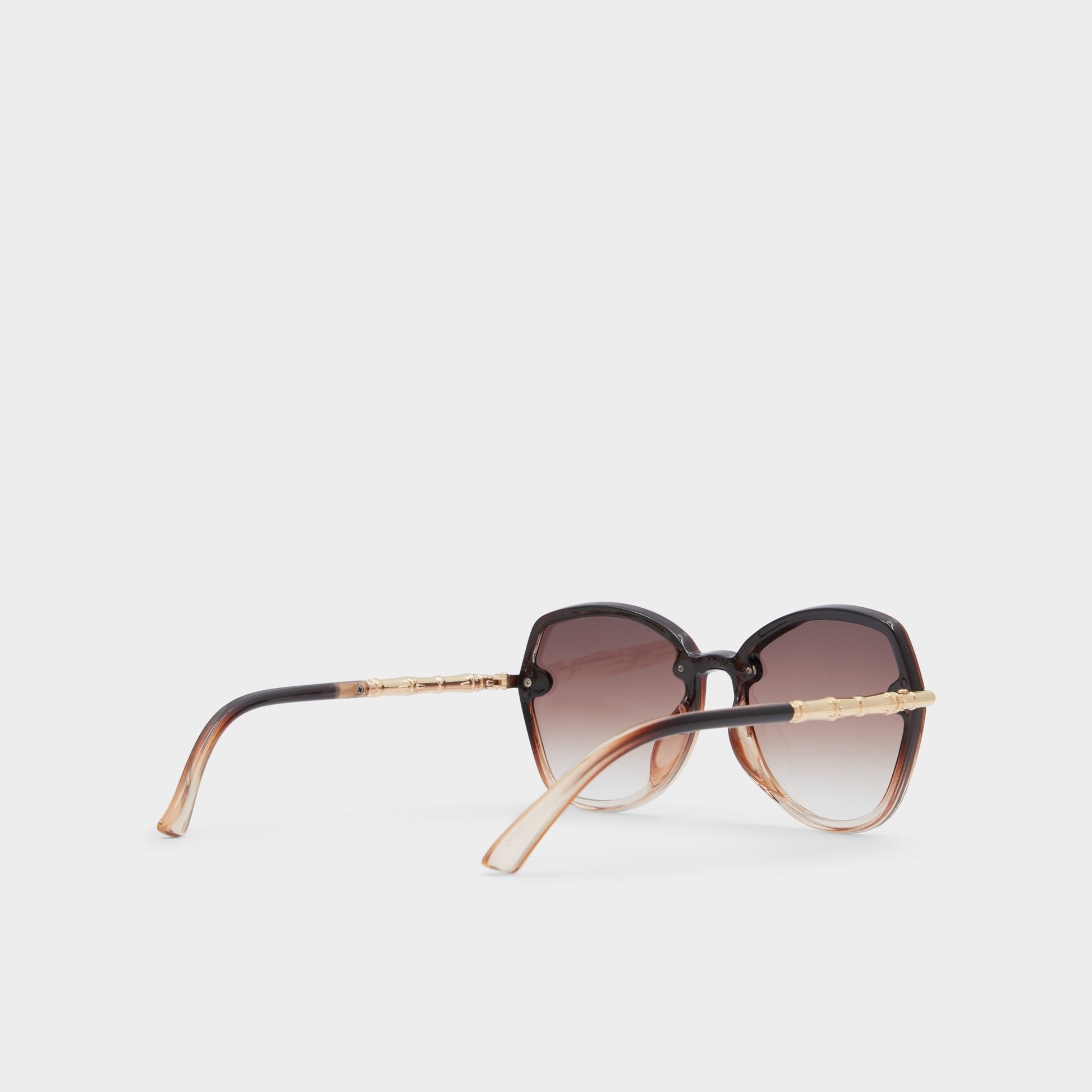 Cortegaca Brown Women's Round - Square sunglasses Aldo Brown