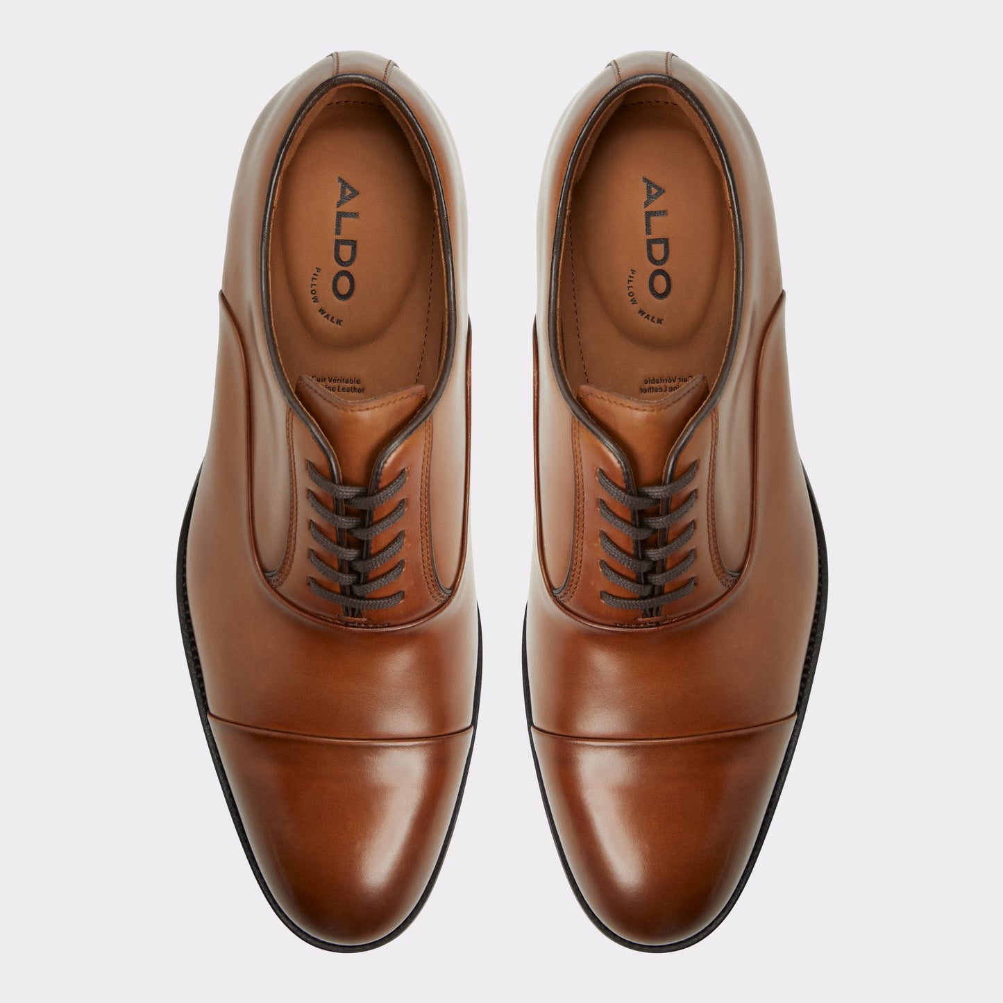 Lazio in Cognac - Oxford shoe Aldo Cognac