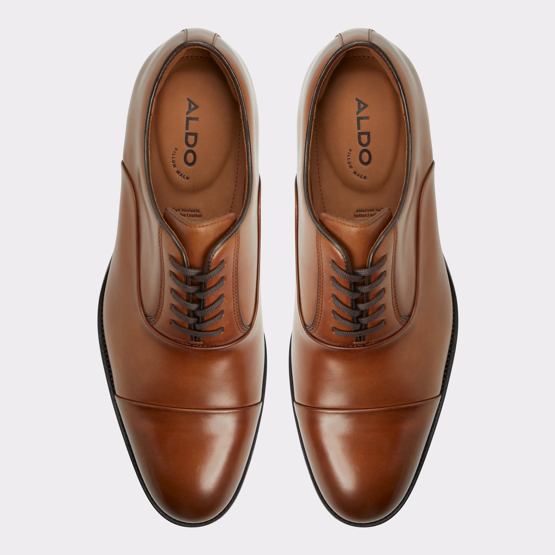 Lazio in Cognac - Oxford shoe Aldo Cognac