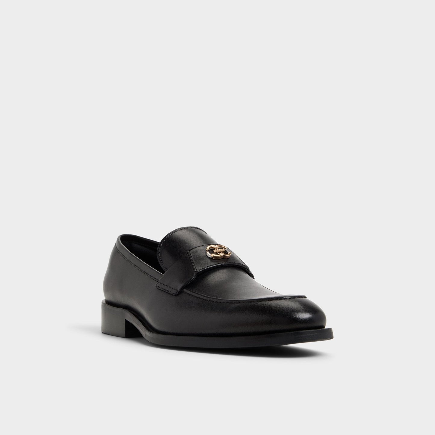 Beck in Other Black - Loafer Aldo Other black