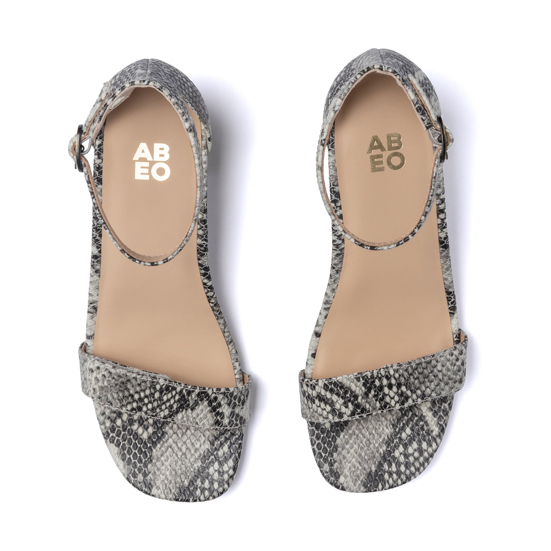 ABEO Footwear Avenue Strap Snake Print Leather