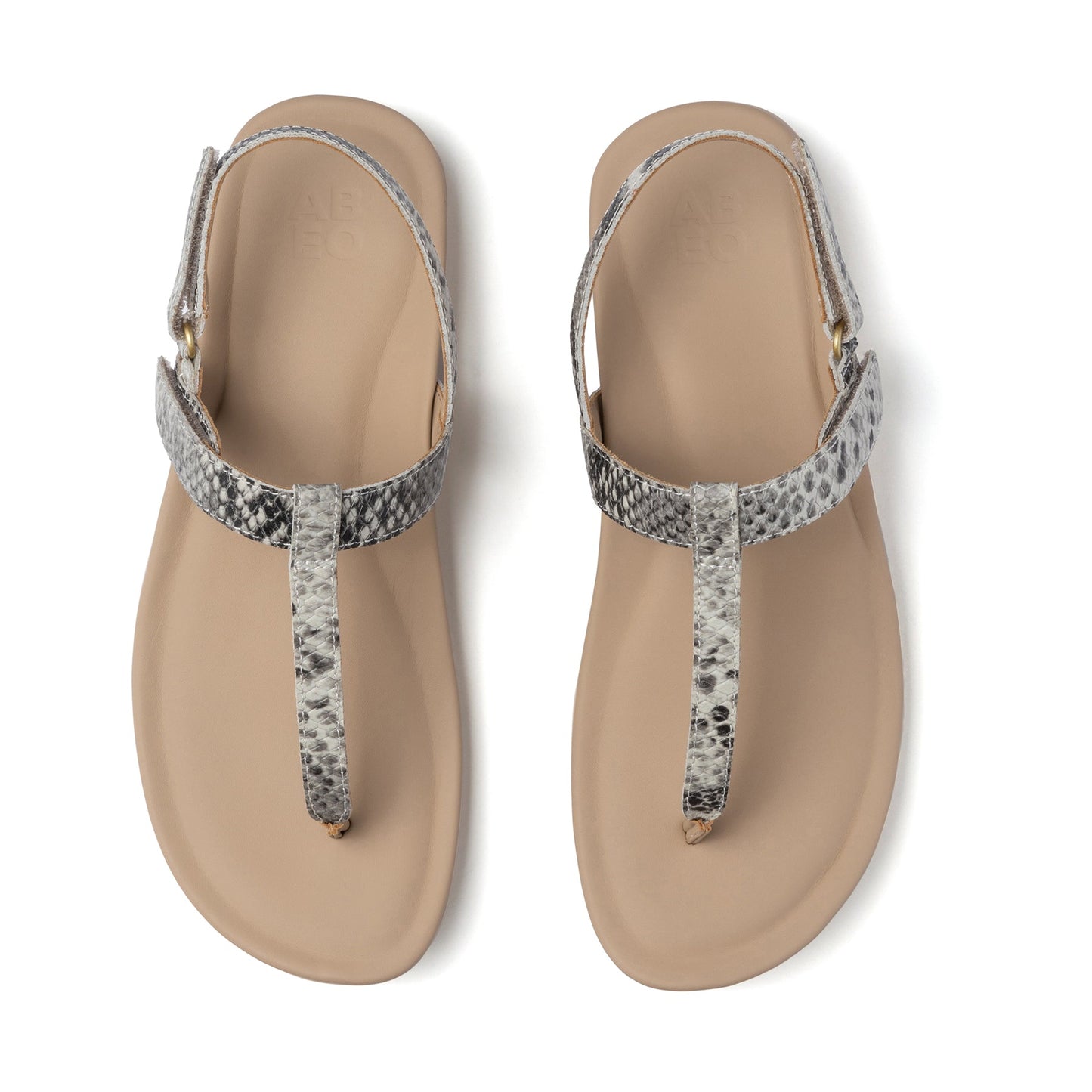 ABEO Footwear Oasis T Strap Snake