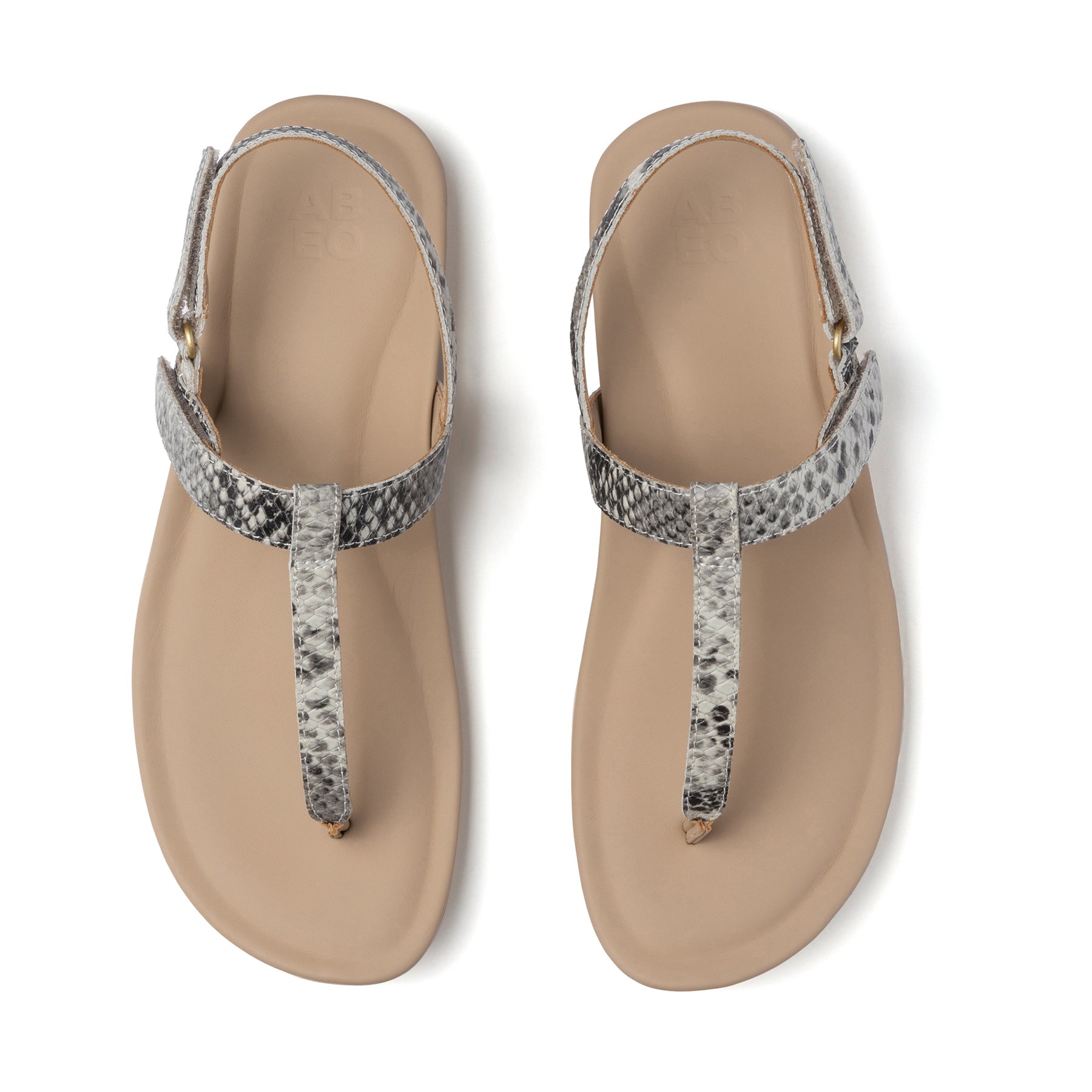 ABEO Footwear Oasis T Strap Snake