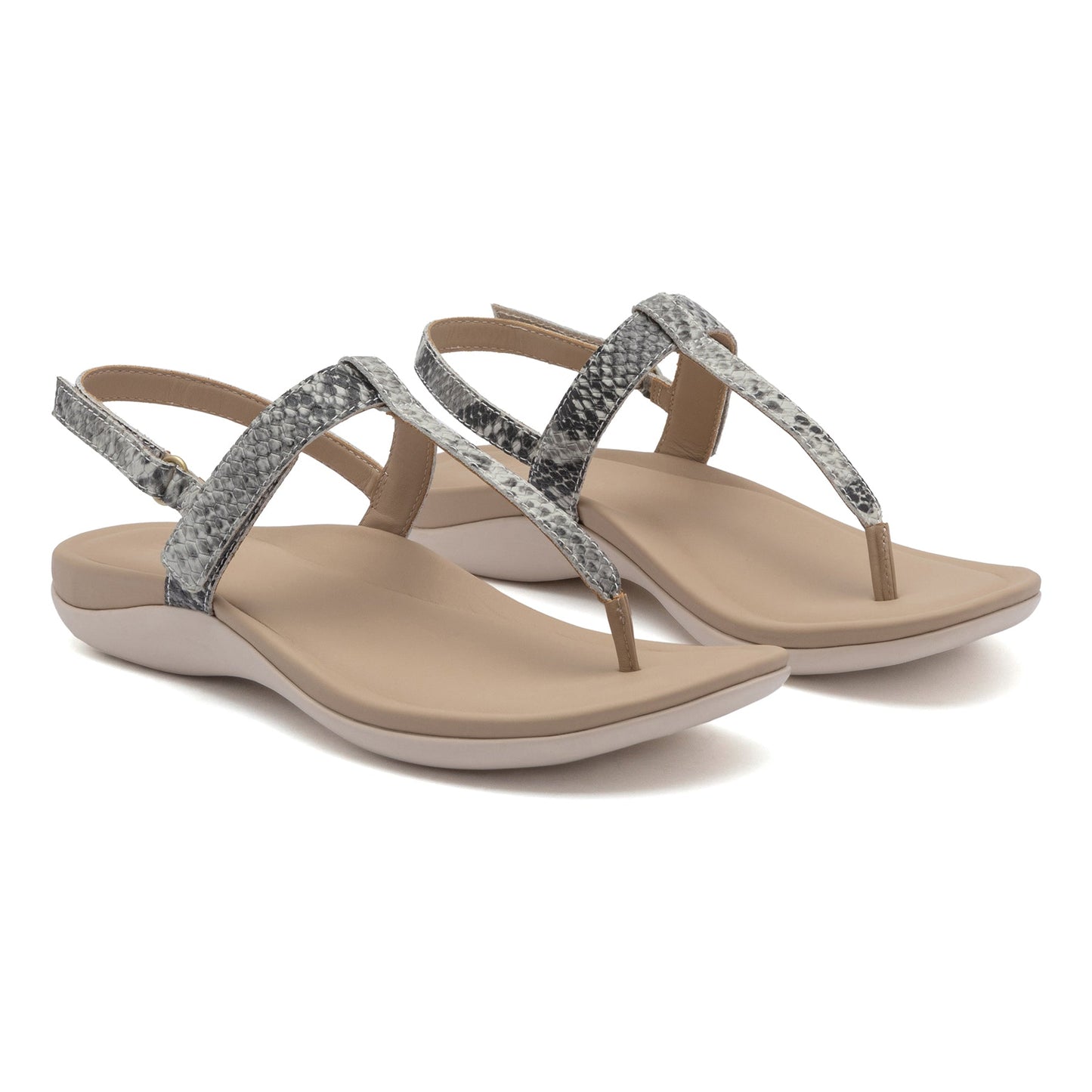ABEO Footwear Oasis T Strap Snake