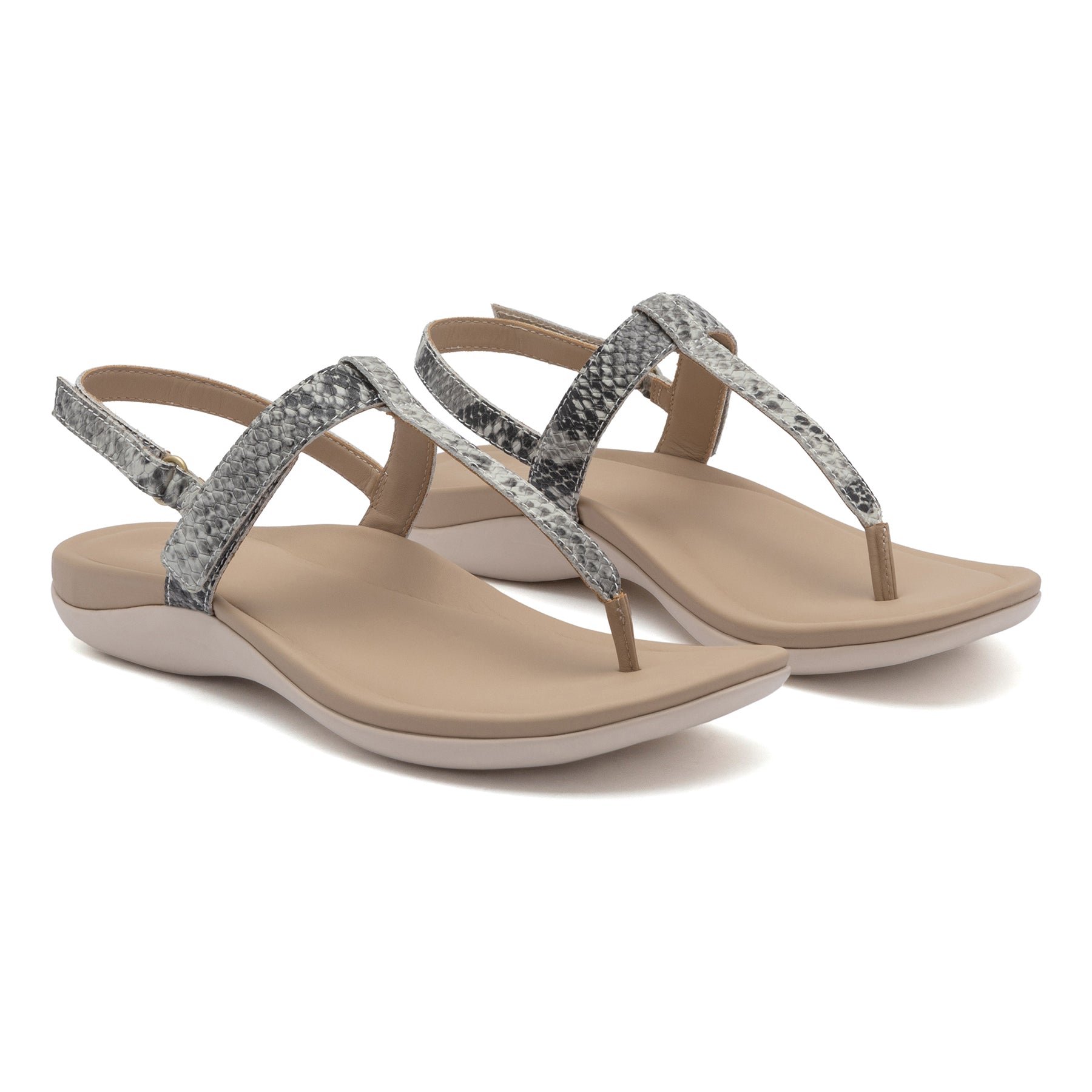 ABEO Footwear Oasis T Strap Snake