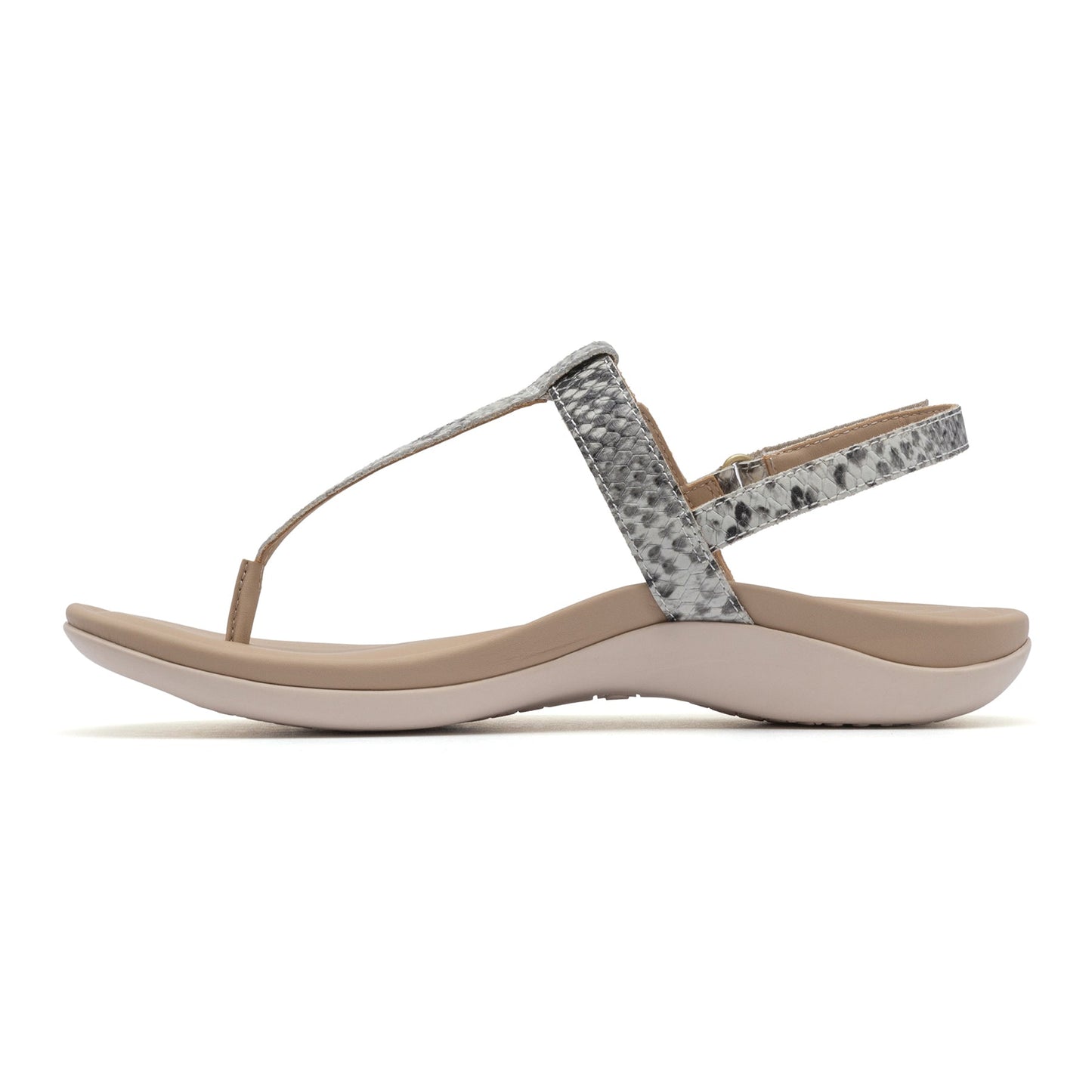 ABEO Footwear Oasis T Strap Snake