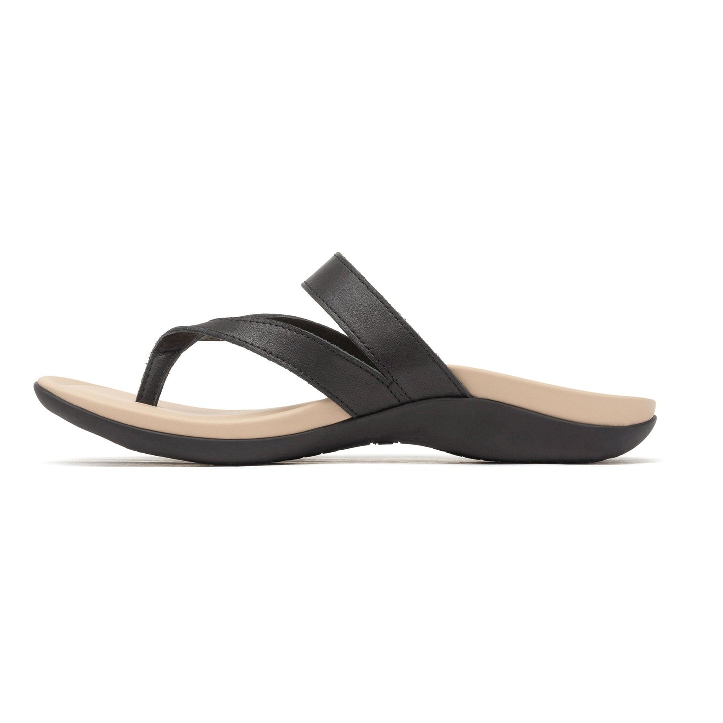 ABEO Footwear Oasis Thong Sandal Black Majestic