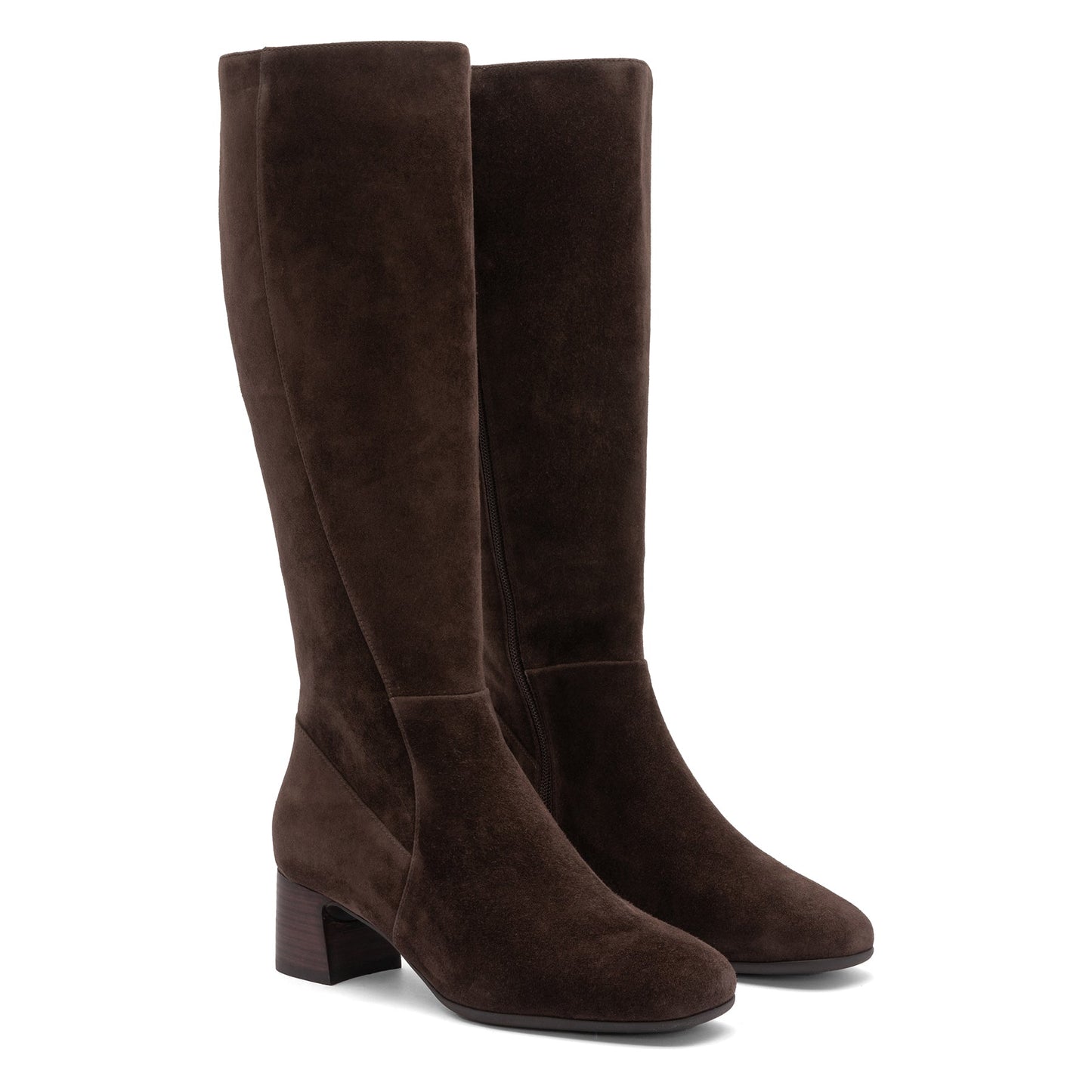 ABEO Footwear Avenue Tall Java Suede