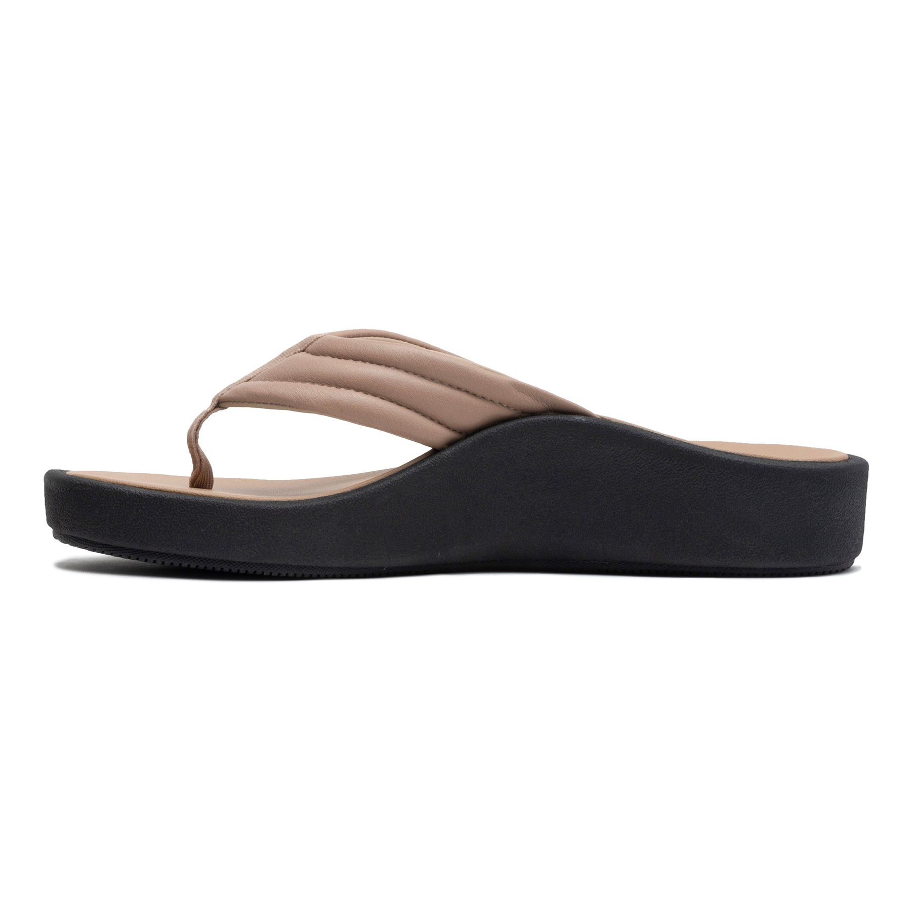ABEO Footwear Paseo Thong Sandal Roebuck