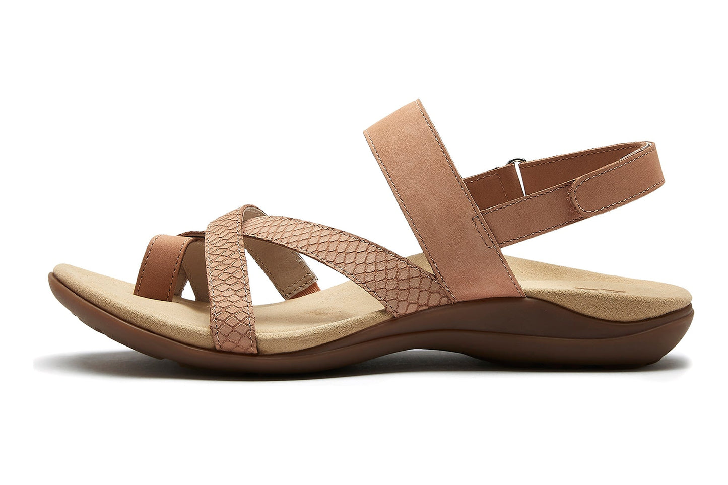 ABEO Footwear Barnett Blush Nubuck Embossed Reptile